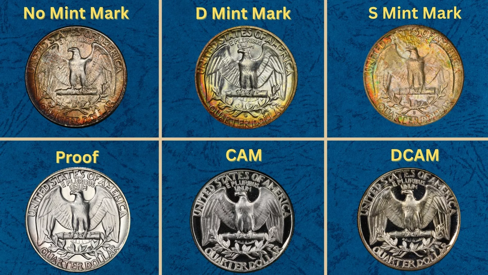 1954 Washington Quarter group showing Philadelphia, Denver, and San Francisco mint specimens from all three minting facilities